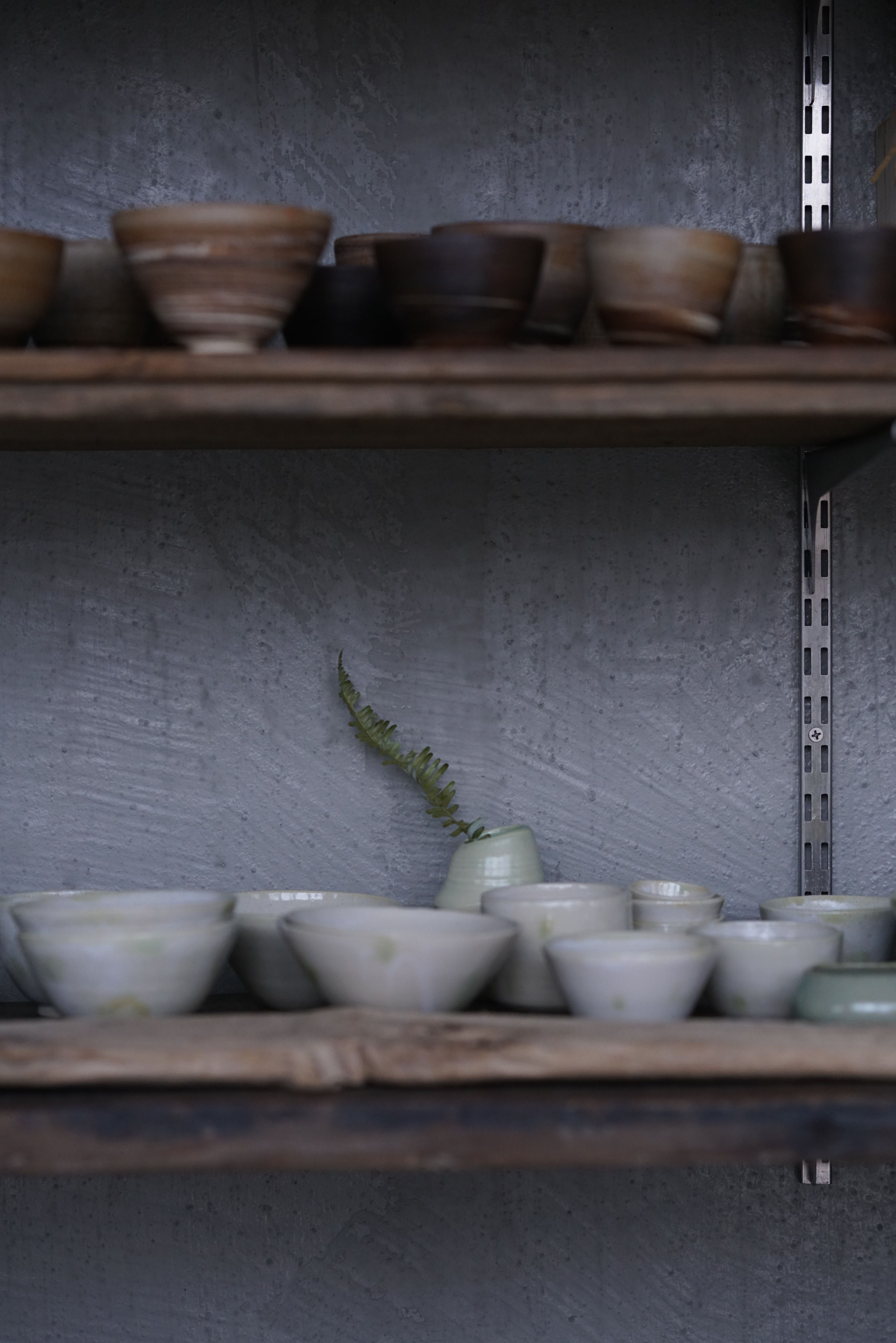 Mugs drying before bisque firing